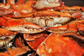 seasoned steamed crabs